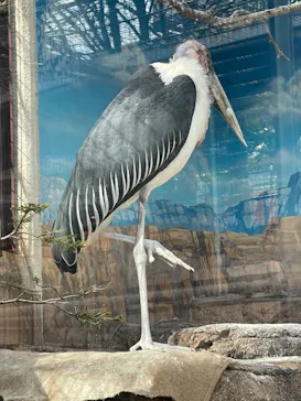 天王寺動物園に投稿された画像（2021/3/27）