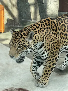 天王寺動物園に投稿された画像（2021/3/27）