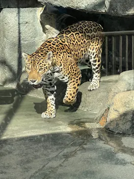 天王寺動物園に投稿された画像（2021/3/27）