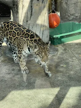 天王寺動物園に投稿された画像（2021/3/27）