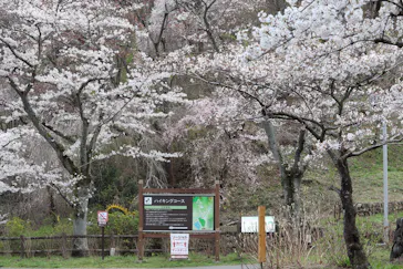 わんダフルネイチャーヴィレッジに投稿された画像（2021/3/27）