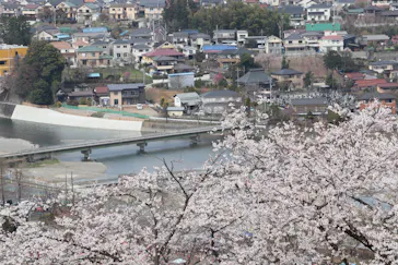 わんダフルネイチャーヴィレッジに投稿された画像（2021/3/27）