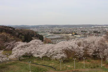 わんダフルネイチャーヴィレッジに投稿された画像（2021/3/27）