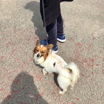 IPCわんわん動物園に投稿された画像（2021/3/27）