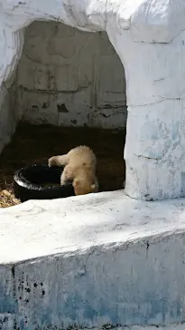 天王寺動物園に投稿された画像（2021/3/27）