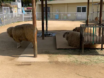 天王寺動物園に投稿された画像（2021/3/27）