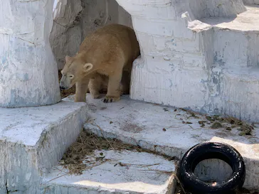 天王寺動物園に投稿された画像（2021/3/27）
