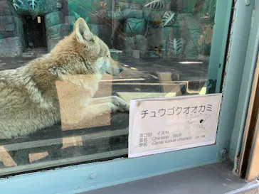 天王寺動物園に投稿された画像（2021/3/27）