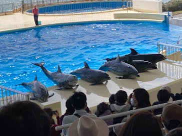 マリンワールド海の中道に投稿された画像（2021/3/27）