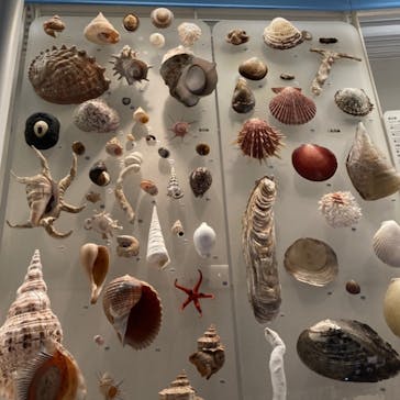 国立科学博物館に投稿された画像（2021/3/27）