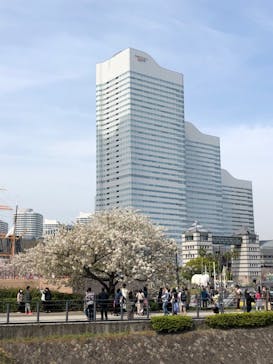ビルボードライブ横浜に投稿された画像（2021/3/27）