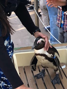 横浜・八景島シーパラダイスに投稿された画像（2021/3/27）