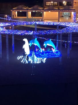 横浜・八景島シーパラダイスに投稿された画像（2021/3/27）