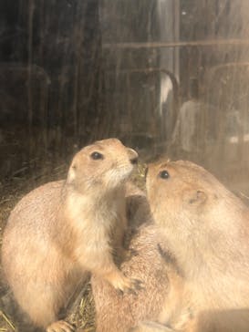横浜・八景島シーパラダイスに投稿された画像（2021/3/27）