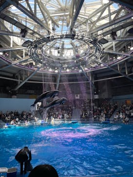 マクセル アクアパーク品川に投稿された画像（2021/3/27）