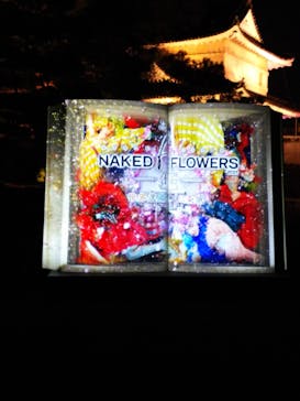 二条城×ネイキッド 二条城夏まつり2021に投稿された画像（2021/3/27）