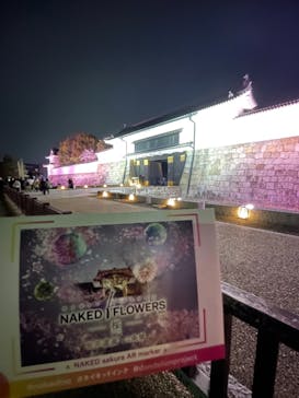 二条城×ネイキッド 二条城夏まつり2021に投稿された画像（2021/3/27）