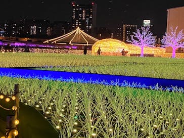 東京メガイルミに投稿された画像（2021/3/27）