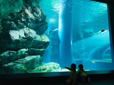 マクセル アクアパーク品川に投稿された画像（2021/3/27）