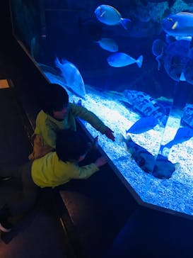 マクセル アクアパーク品川に投稿された画像（2021/3/27）