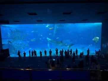 ジャンボツアーズに投稿された画像（2021/3/27）