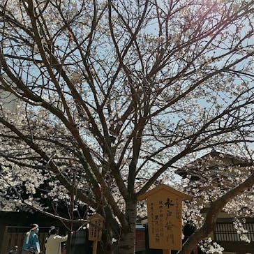 東映太秦映画村に投稿された画像（2021/3/27）