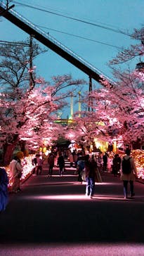 よみうりランド 遊園地に投稿された画像（2021/3/27）