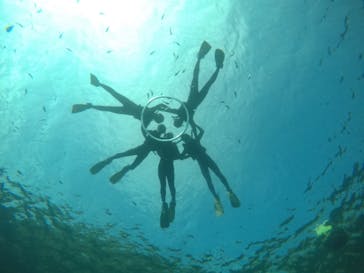 武藤潜水に投稿された画像（2021/3/28）