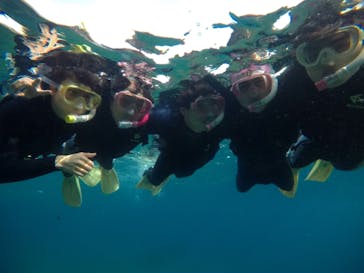 武藤潜水に投稿された画像（2021/3/28）