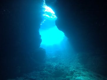 武藤潜水に投稿された画像（2021/3/28）