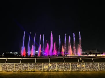 東京メガイルミに投稿された画像（2021/3/28）