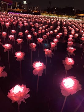 東京メガイルミに投稿された画像（2021/3/28）