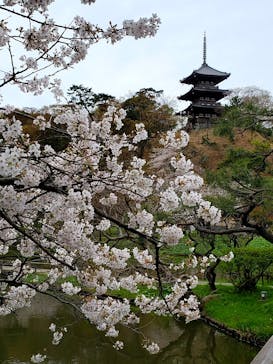 三溪園に投稿された画像（2021/3/28）