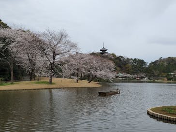 三溪園に投稿された画像（2021/3/28）