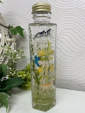 ずこうしつ〜sugamo〜に投稿された画像（2021/3/28）