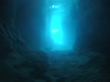 武藤潜水に投稿された画像（2021/3/28）