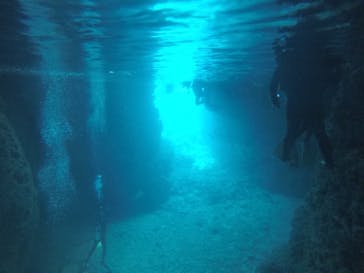 武藤潜水に投稿された画像（2021/3/28）