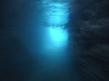 武藤潜水に投稿された画像（2021/3/28）