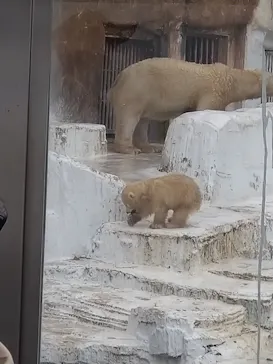 天王寺動物園に投稿された画像（2021/3/28）