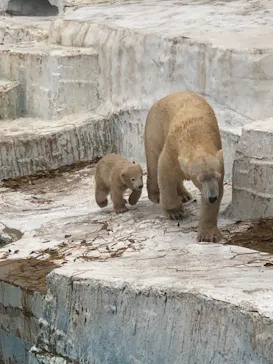 天王寺動物園に投稿された画像（2021/3/28）