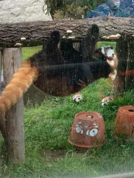 天王寺動物園に投稿された画像（2021/3/28）