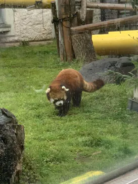 天王寺動物園に投稿された画像（2021/3/28）