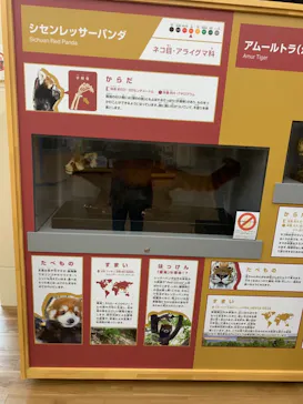 天王寺動物園に投稿された画像（2021/3/28）