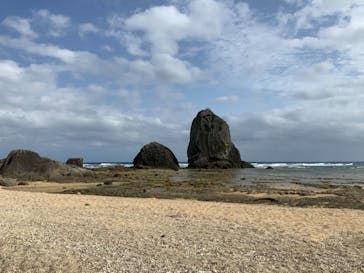 ミッドナイトツアー 奄美に投稿された画像（2021/3/28）