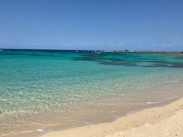 ミッドナイトツアー 奄美に投稿された画像（2021/3/28）