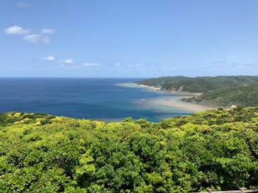 ミッドナイトツアー 奄美に投稿された画像（2021/3/28）