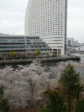 横浜みなとみらい 万葉倶楽部に投稿された画像（2021/3/28）