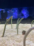 すみだ水族館に投稿された画像（2021/3/28）
