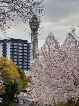 天王寺動物園に投稿された画像（2021/3/28）