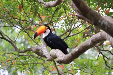 ネオパークオキナワに投稿された画像（2021/3/28）